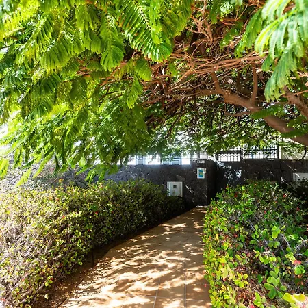 Marina Rubicon Number 2